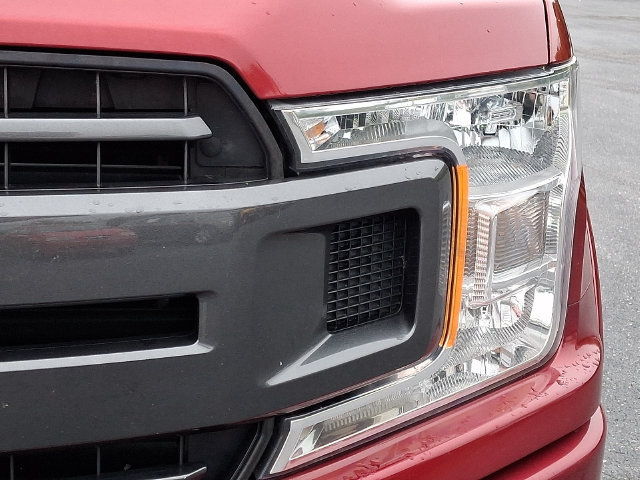 Used 2019 Ford F150 XLT w/ Equipment Group 302A Luxury AWD/4WD image 12