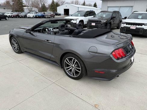 Used 2017 Ford Mustang Premium image 3