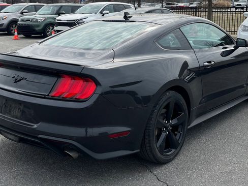 Used 2023 Ford Mustang Premium w/ Mustang Nite Pony Package image 8