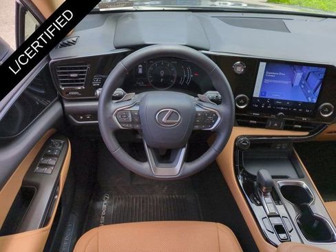 Certified 2024 Lexus NX 250 FWD w/ Cold Area Package image 15