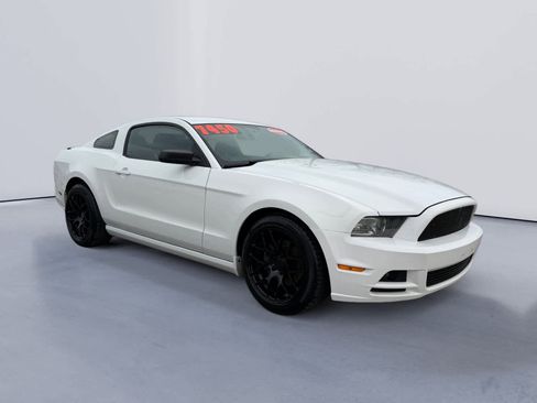 Used 2014 Ford Mustang Coupe w/ Equipment Group 102A image 1