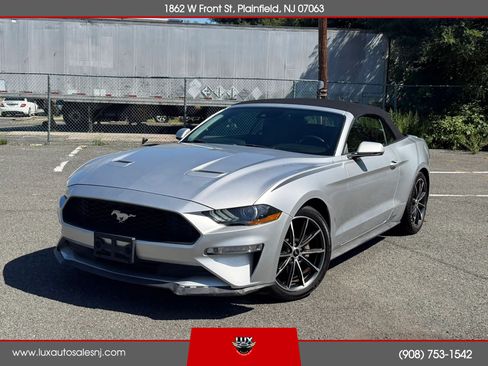 Used 2019 Ford Mustang Premium w/ Equipment Group 201A RWD image 1