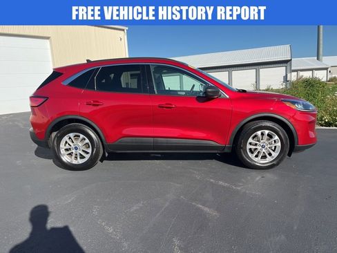 Used 2022 Ford Escape SE w/ Convenience Package image 3