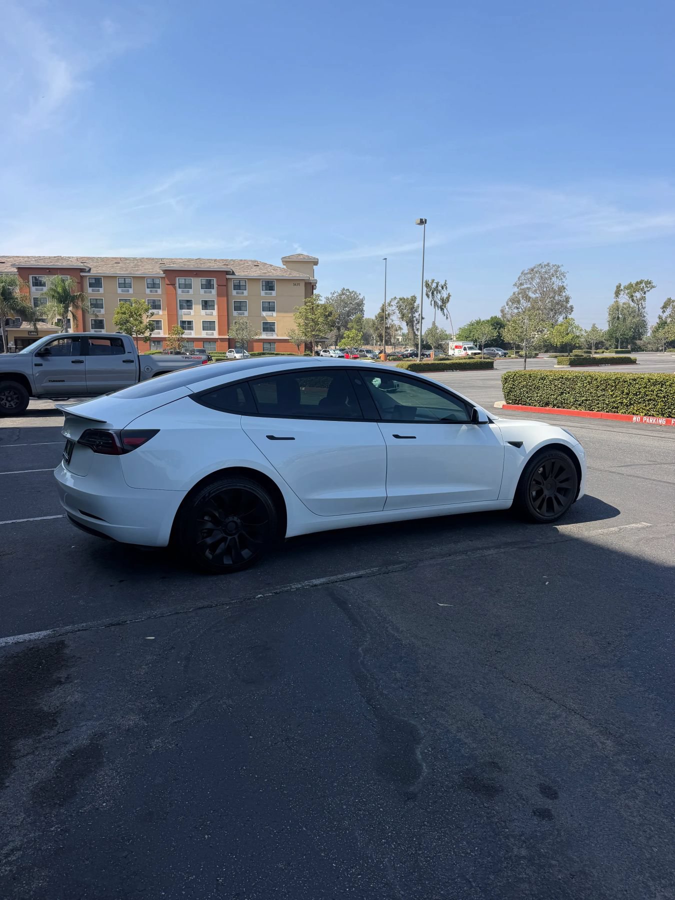 Used 2023 Tesla Model 3 Standard Range RWD image 4