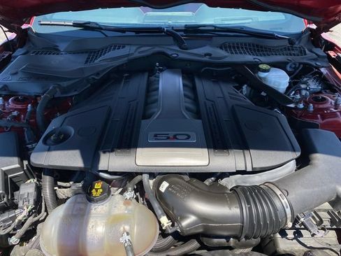 Used 2019 Ford Mustang GT Premium w/ Equipment Group 401A RWD image 19