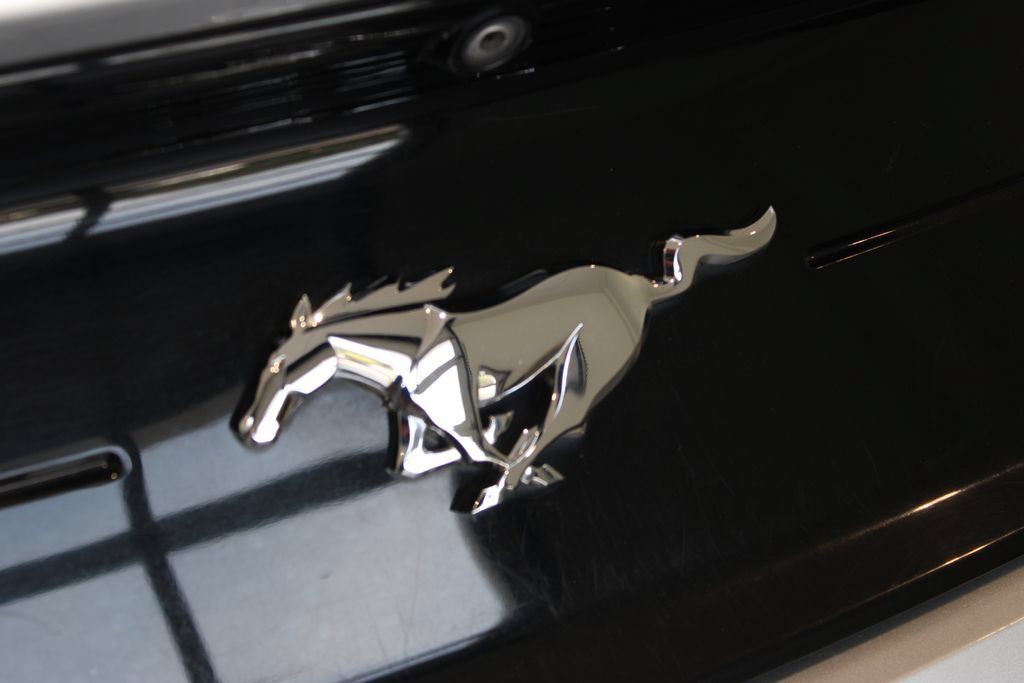 Used 2019 Ford Mustang Premium RWD image 43