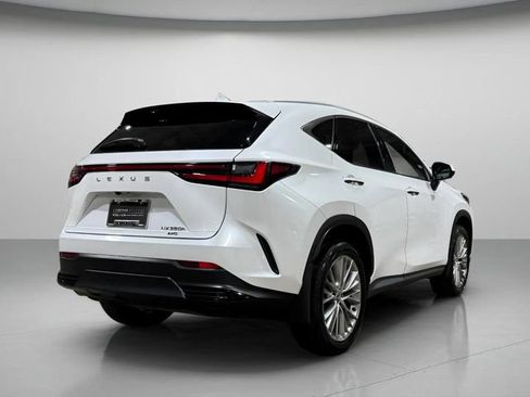 Used 2025 Lexus NX 350h AWD w/ Cold Area Package image 3