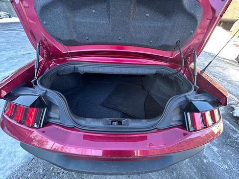 Used 2025 Ford Mustang Premium w/ Mustang Nite Pony Package image 7