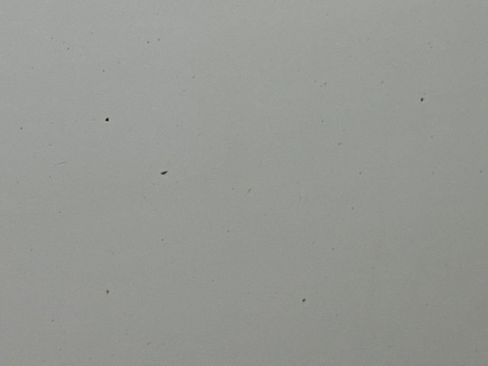 Used 2018 Chevrolet Silverado 1500 LT w/ All Star Edition image 33