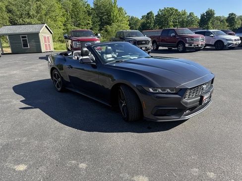 Used 2024 Ford Mustang Premium RWD image 3
