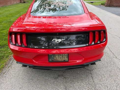 Used 2022 Ford Mustang Coupe RWD image 6