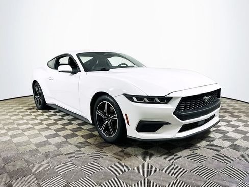 Used 2024 Ford Mustang Premium RWD image 1