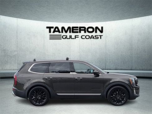Used 2020 Kia Telluride SX w/ SX Prestige Package image 8