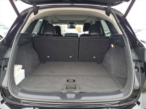 Used 2019 INFINITI QX50 Luxe w/ Cargo Package image 19