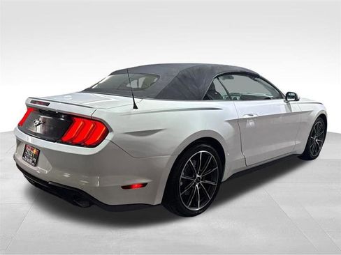 Used 2019 Ford Mustang Premium w/ Equipment Group 201A image 5