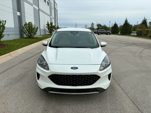Used 2020 Ford Escape SE FWD image 2