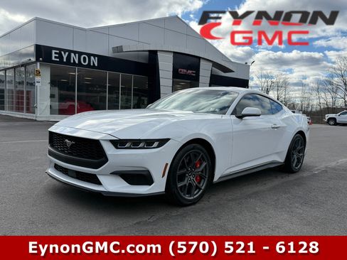 Used 2024 Ford Mustang Coupe w/ 2.3L High Performance Package image 1