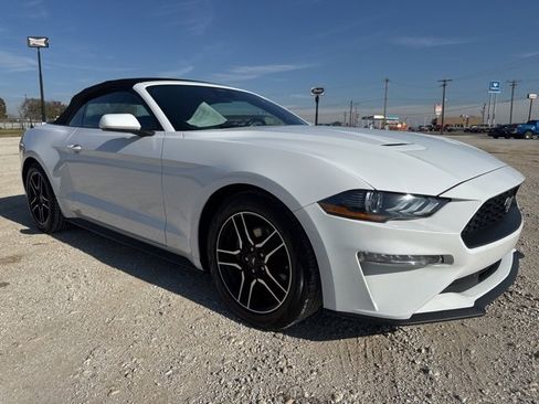 Used 2023 Ford Mustang Premium image 5