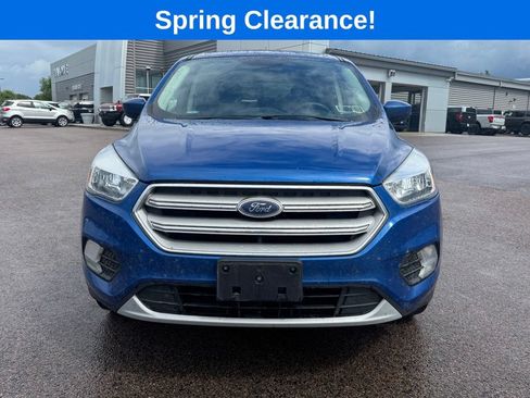 Used 2019 Ford Escape SE AWD/4WD image 10