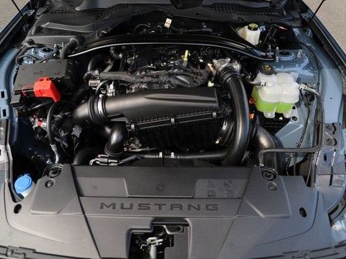 New 2025 Ford Mustang EcoBoost 2D Convertible w/ Mustang Nite Pony Package image 4