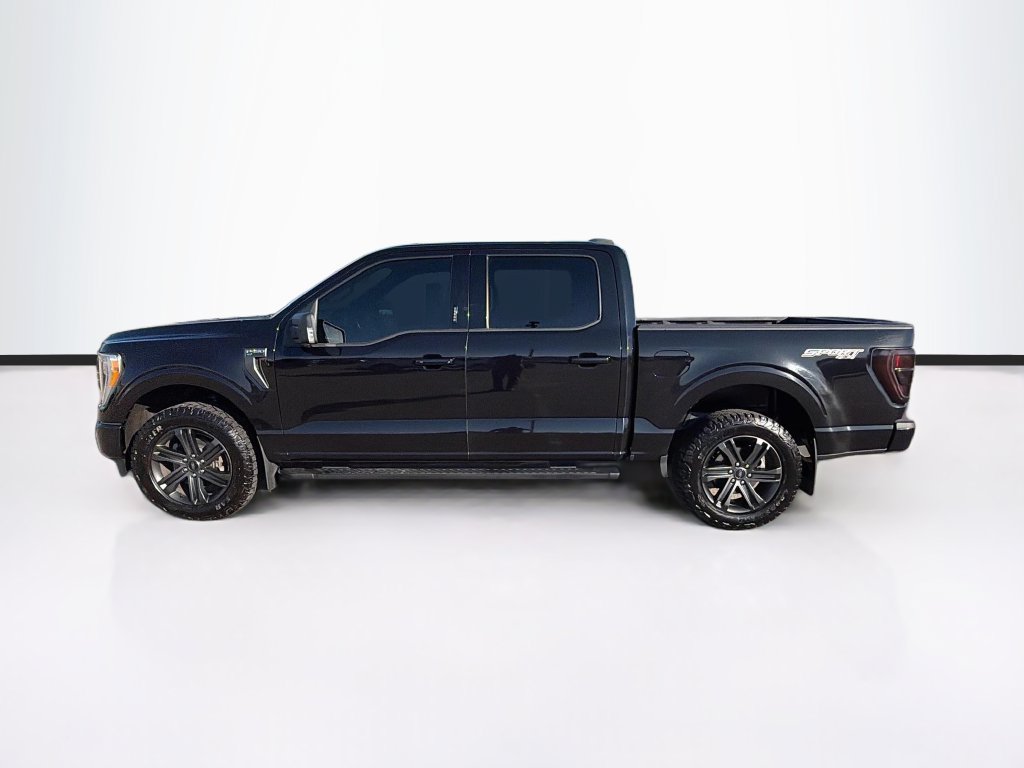 Used 2021 Ford F150 XLT w/ Equipment Group 302A High AWD/4WD image 8