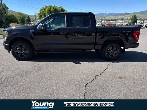Used 2023 Ford F150 XLT w/ Equipment Group 302A High AWD/4WD image 3