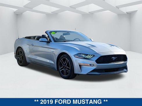 Certified 2019 Ford Mustang Premium image 2