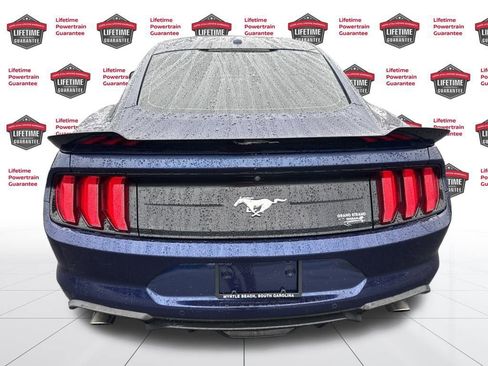 Used 2019 Ford Mustang Premium image 6