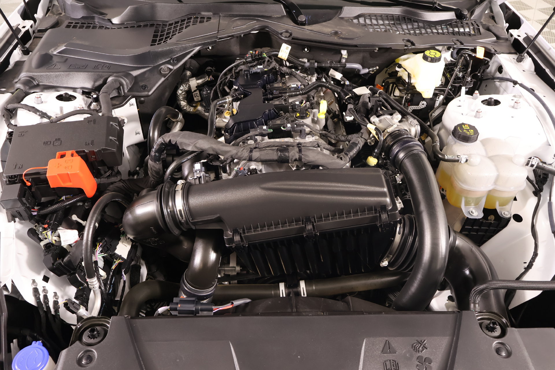 Used 2024 Ford Mustang Coupe RWD image 17