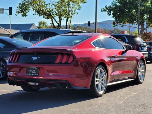 Used 2016 Ford Mustang Premium w/ Equipment Group 201A image 5