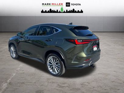 Used 2025 Lexus NX 350h AWD w/ Cold Area Package