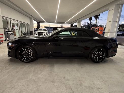 Used 2023 Ford Mustang Premium image 3