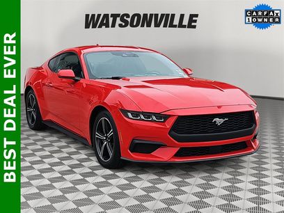 Used 2024 Ford Mustang Coupe