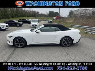 Used 2024 Ford Mustang Premium video 1