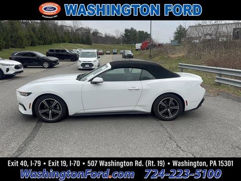 Used 2024 Ford Mustang Premium image 1