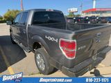 Used 2013 Ford F150 XLT w/ XLT Chrome Pkg image 4