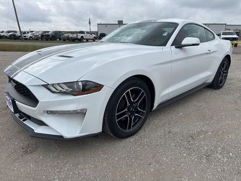 Used 2023 Ford Mustang Premium w/ Equipment Group 201A RWD image 1