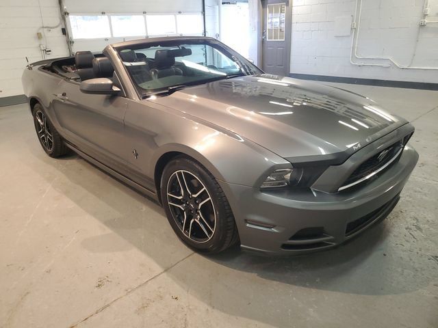 Used 2014 Ford Mustang Premium w/ Equipment Group 201A RWD image 11
