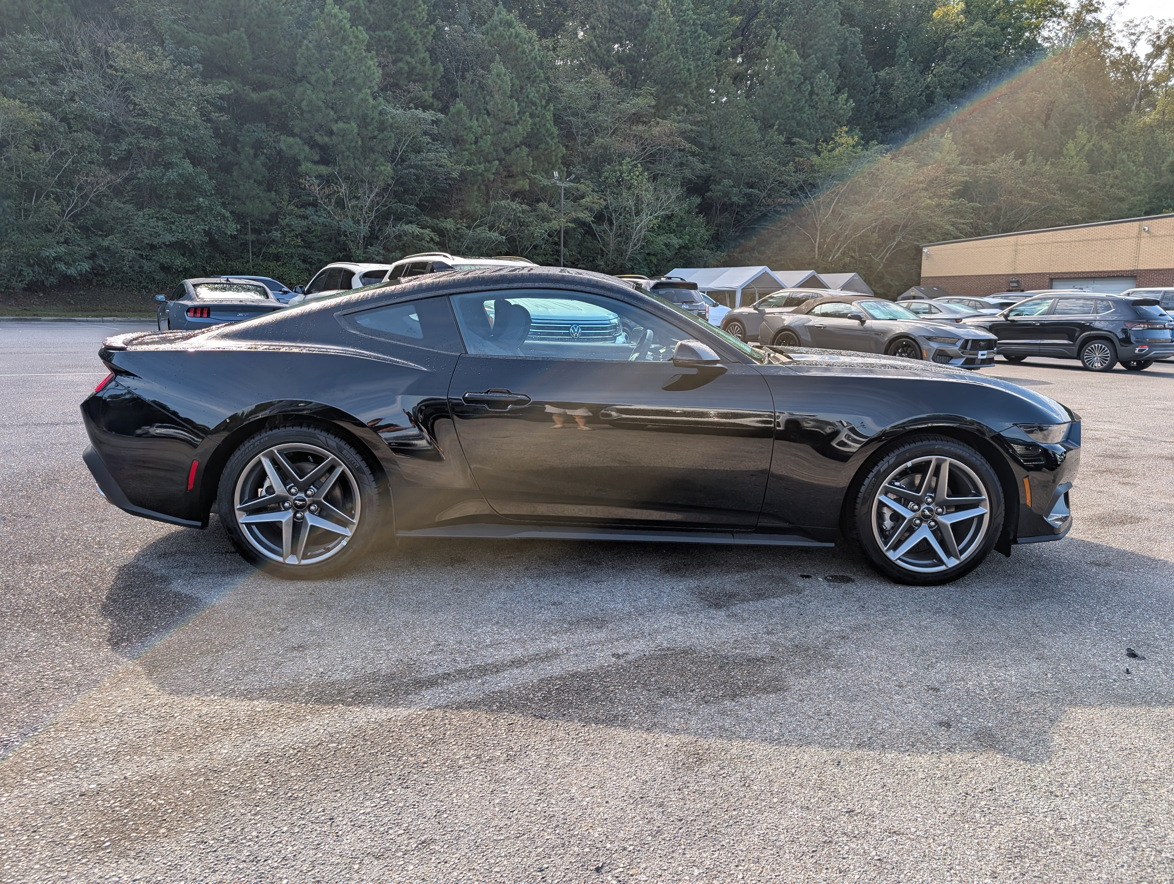 Used 2026 Ford Mustang Premium RWD image 10
