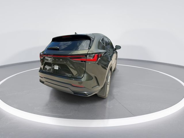 Certified 2026 Lexus NX 350 AWD w/ Accessory Package (2T) image 7