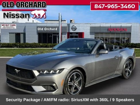 Used 2024 Ford Mustang Premium RWD image 1