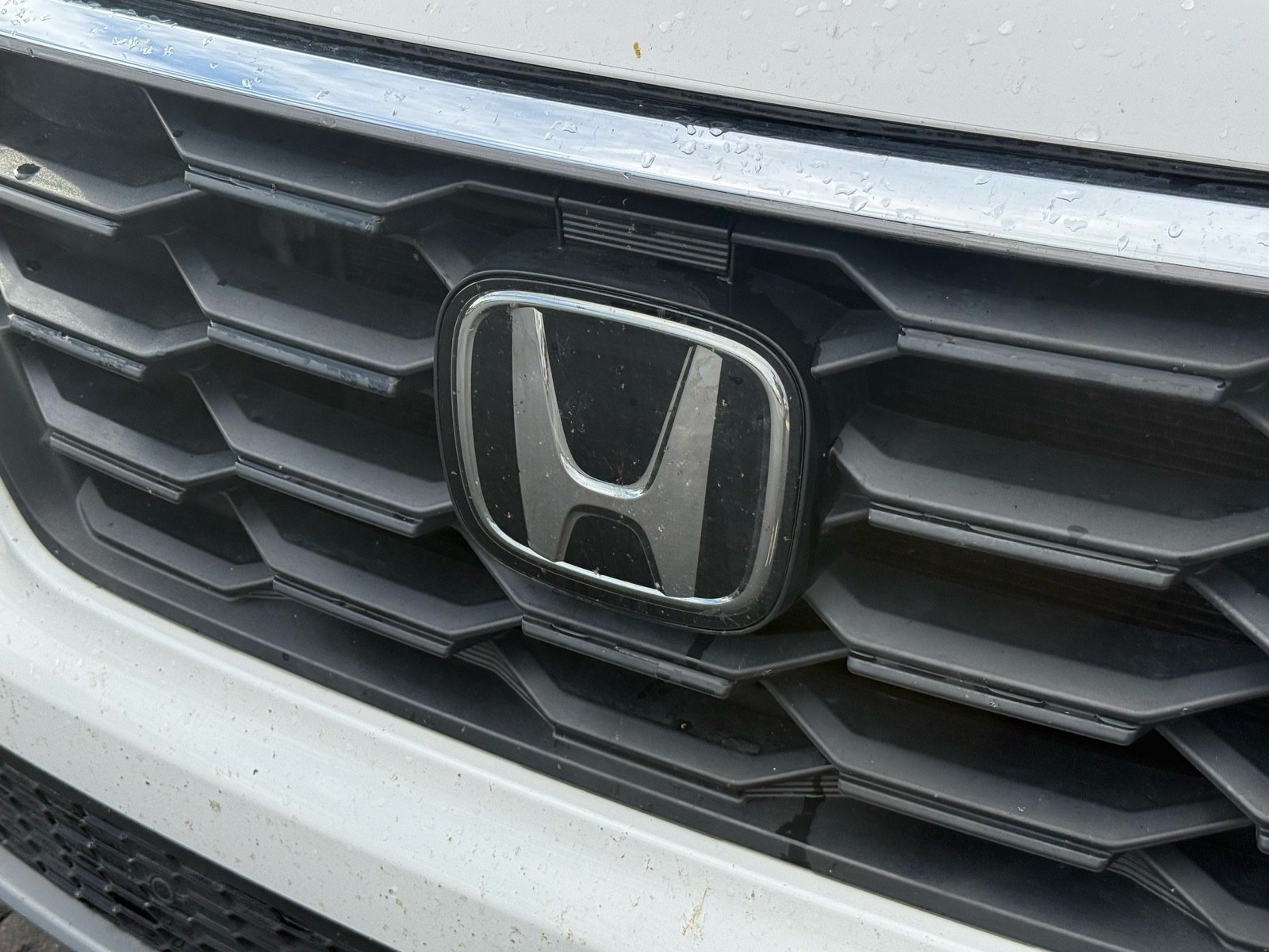 Used 2024 Honda Pilot EX-L image 8