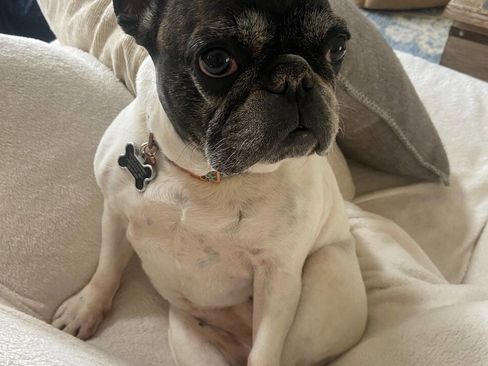 Used 2014 Kia Sportage EX image 38