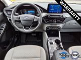 Used 2023 Ford Escape Active image 4