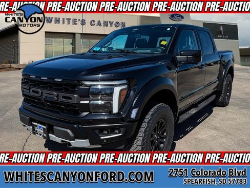 Used 2025 Ford F150 Raptor AWD/4WD image 1
