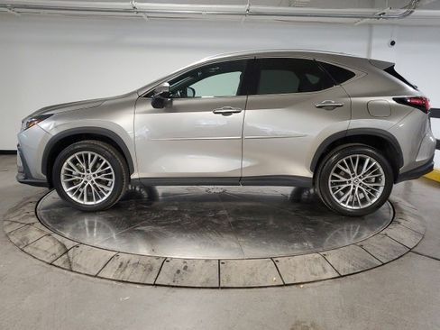 Used 2023 Lexus NX 350h AWD image 4
