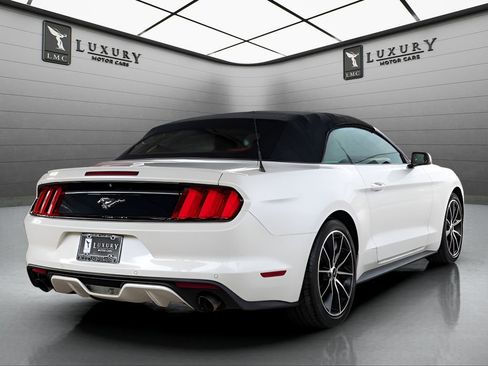 Used 2017 Ford Mustang Premium w/ Equipment Group 201A RWD image 8
