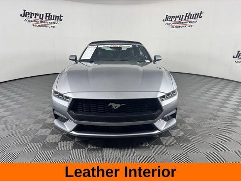 Used 2025 Ford Mustang Premium RWD image 4