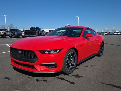 Used 2024 Ford Mustang Premium image 2