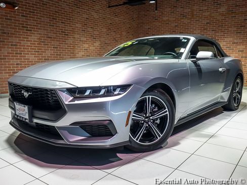 Used 2025 Ford Mustang Premium RWD image 2